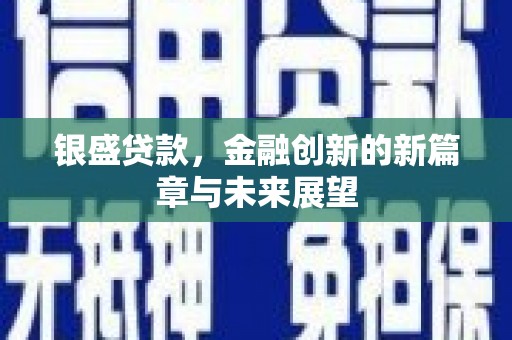 南安银盛贷款，金融创新的新篇章与未来展望