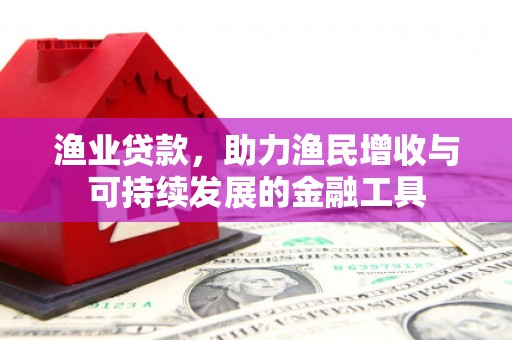 六横渔业贷款，助力渔民增收与可持续发展的金融工具