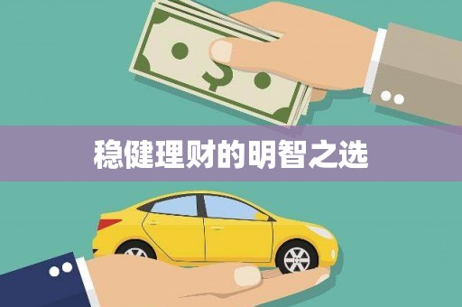 镇安稳健理财的明智之选