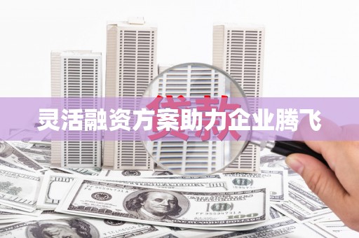 定州灵活融资方案助力企业腾飞
