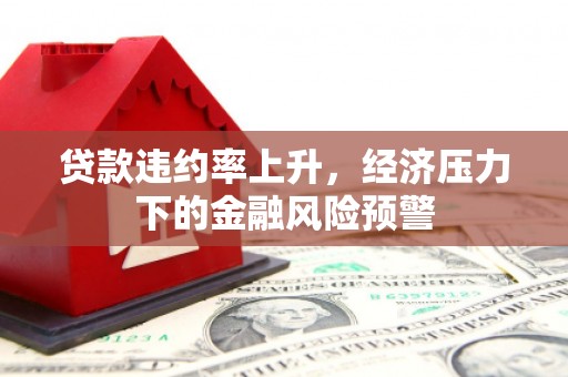 泸溪贷款违约率上升，经济压力下的金融风险预警