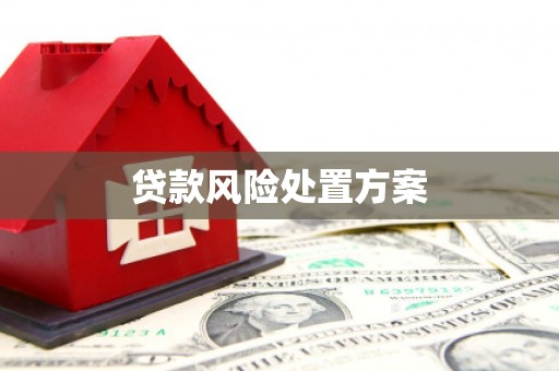 永德贷款风险处置方案