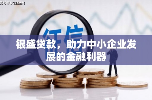 金坛银盛贷款，助力中小企业发展的金融利器
