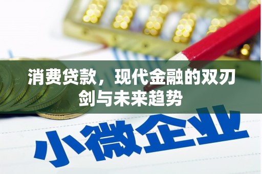 麻城消费贷款，现代金融的双刃剑与未来趋势