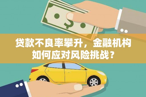 岳西贷款不良率攀升，金融机构如何应对风险挑战？