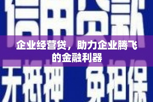 路环岛企业经营贷，助力企业腾飞的金融利器