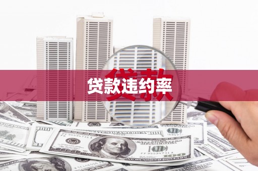 色达贷款违约率