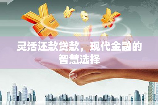 广宗灵活还款贷款，现代金融的智慧选择