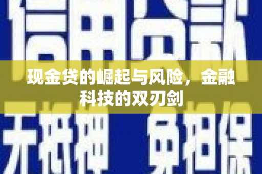 浔阳现金贷的崛起与风险，金融科技的双刃剑