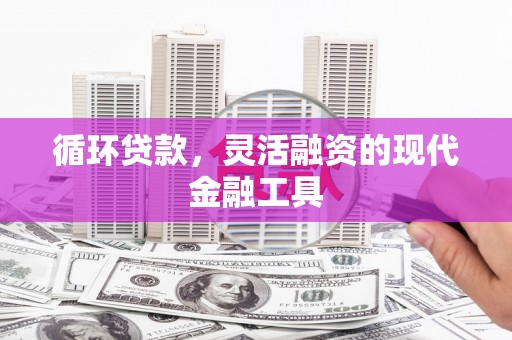 雾峰循环贷款，灵活融资的现代金融工具
