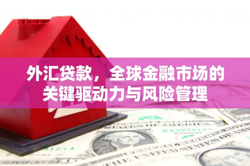邓州外汇贷款，全球金融市场的关键驱动力与风险管理