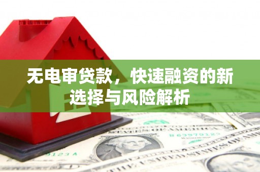 岑巩无电审贷款，快速融资的新选择与风险解析