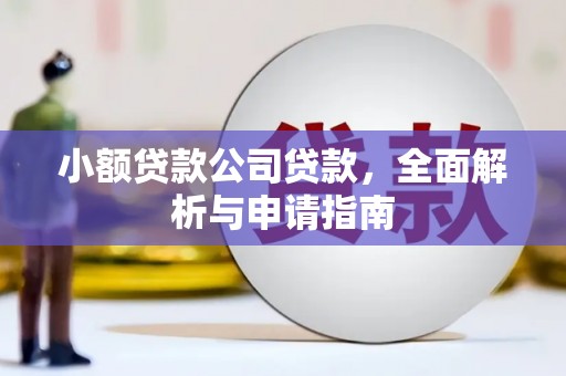 无为小额贷款公司贷款，全面解析与申请指南