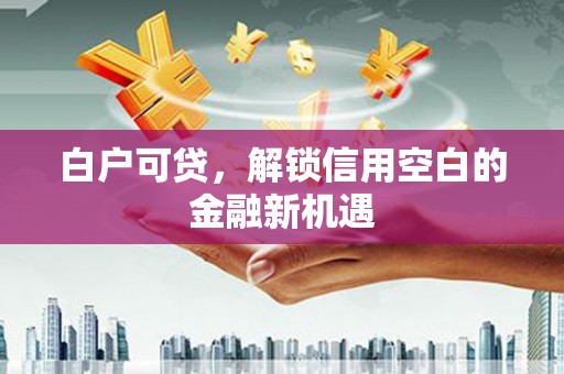 宝山白户可贷，解锁信用空白的金融新机遇