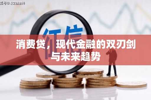 芦洲消费贷，现代金融的双刃剑与未来趋势