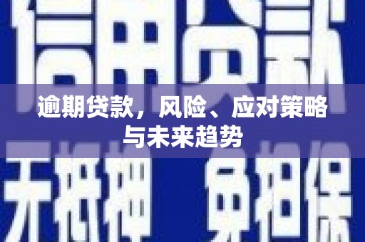 叶县逾期贷款，风险、应对策略与未来趋势