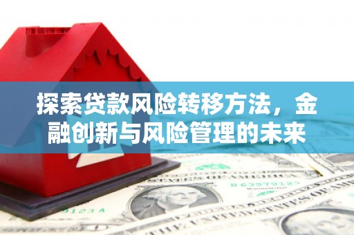顺庆探索贷款风险转移方法，金融创新与风险管理的未来