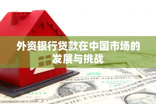 泰顺外资银行贷款在中国市场的发展与挑战