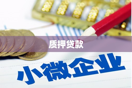 普湾新区质押贷款