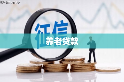 永川养老贷款