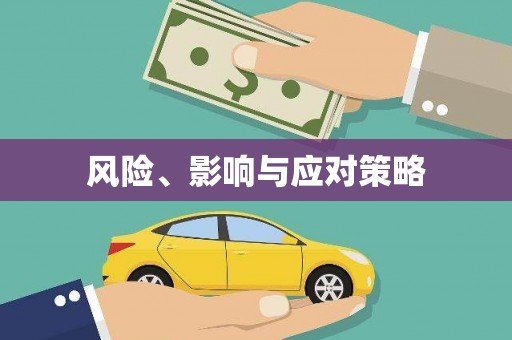 札达风险、影响与应对策略