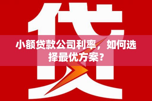 邢台小额贷款公司利率，如何选择最优方案？