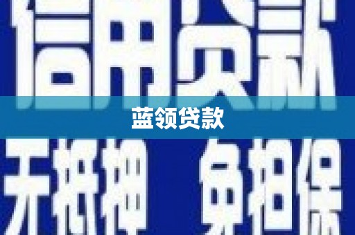 卧龙蓝领贷款