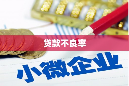 海拉尔贷款不良率