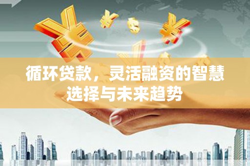 港北循环贷款，灵活融资的智慧选择与未来趋势
