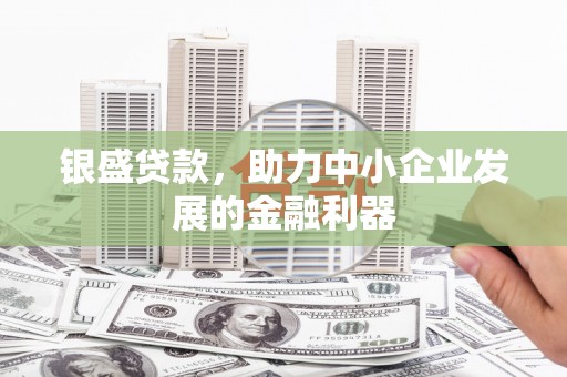 雨花银盛贷款，助力中小企业发展的金融利器