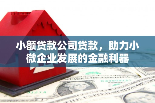 善化小额贷款公司贷款，助力小微企业发展的金融利器