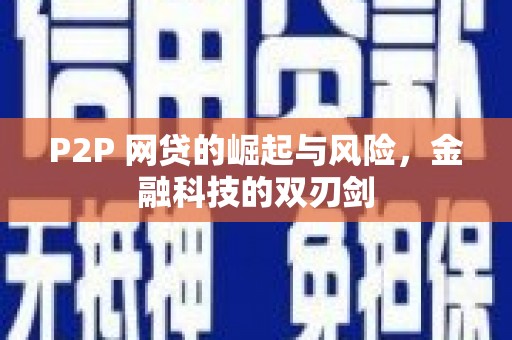 田林P2P 网贷的崛起与风险，金融科技的双刃剑