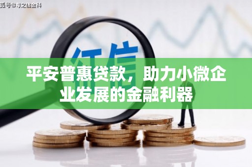 滁州平安普惠贷款，助力小微企业发展的金融利器