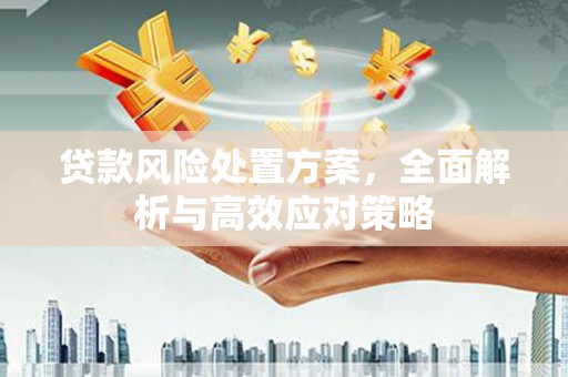 永善贷款风险处置方案，全面解析与高效应对策略
