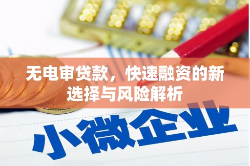 彭泽无电审贷款，快速融资的新选择与风险解析