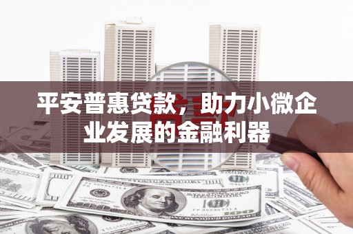汝南平安普惠贷款，助力小微企业发展的金融利器