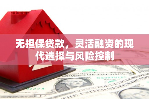 武平无担保贷款，灵活融资的现代选择与风险控制