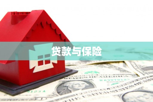 北港贷款与保险
