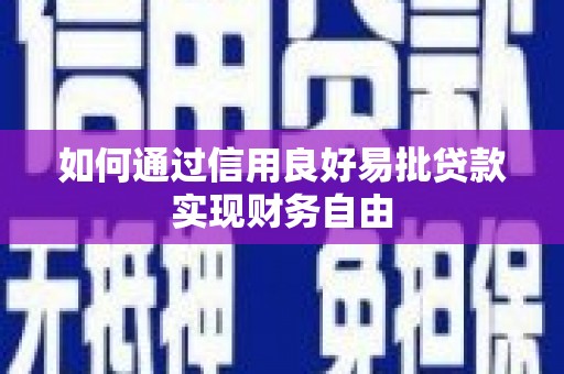 林园如何通过信用良好易批贷款实现财务自由