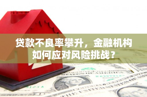 离石贷款不良率攀升，金融机构如何应对风险挑战？