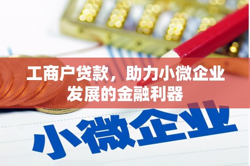 南阳工商户贷款，助力小微企业发展的金融利器