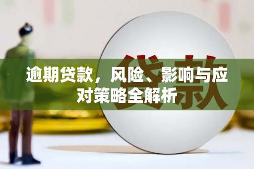 芦竹逾期贷款，风险、影响与应对策略全解析