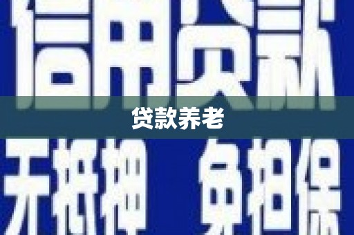 叶县贷款养老