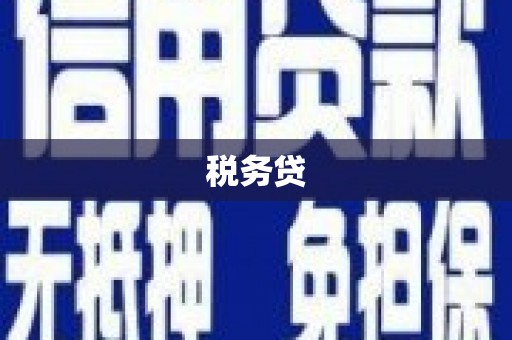 元长税务贷