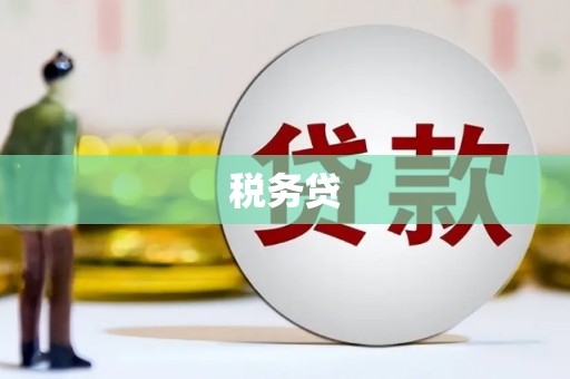 介休税务贷