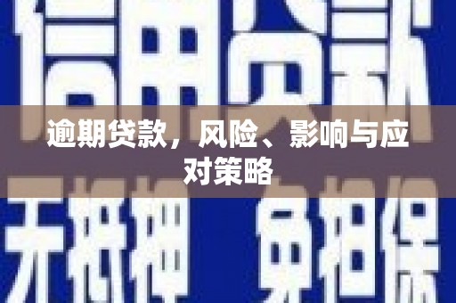 连南逾期贷款，风险、影响与应对策略