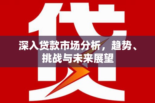 长涂深入贷款市场分析，趋势、挑战与未来展望