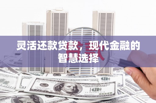 项城灵活还款贷款，现代金融的智慧选择