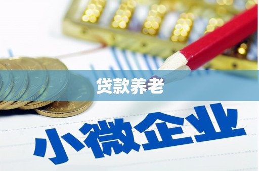 诏安贷款养老