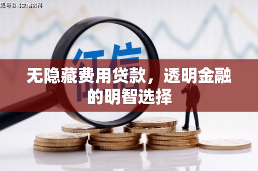清水河无隐藏费用贷款，透明金融的明智选择